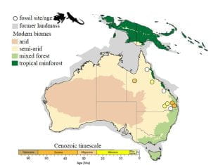 Australia’s herpetological fossil record | Hipsley Lab Research